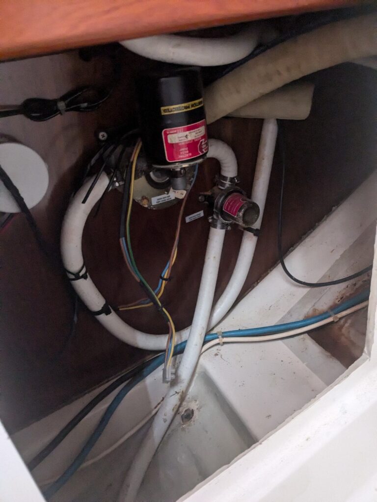 pxl 20240729 092021861